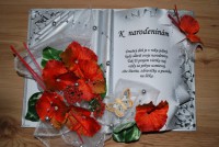 /album/fotogaleria-gratulacne-knihy/dsc-0474-kopia-jpg/